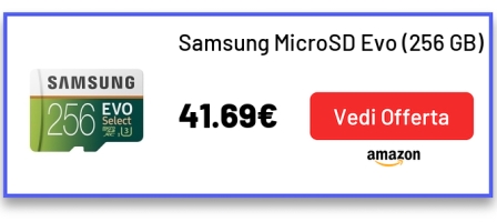 Samsung MicroSD Evo (256 GB)